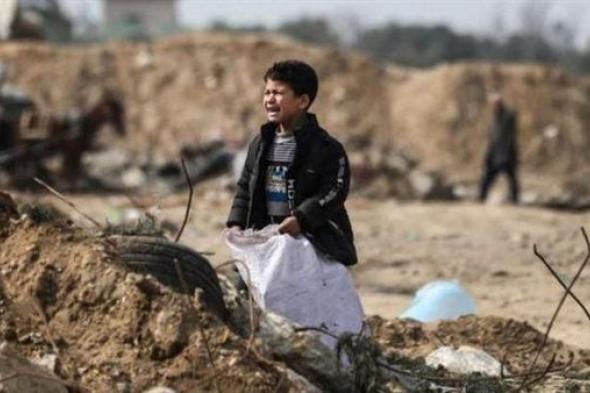 الإمارات وقبرص تبحثان جهود الاستجابة للأوضاع الإنسانية فى قطاع غزة