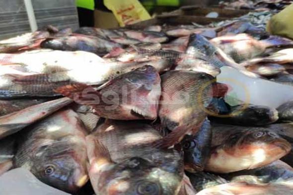 أسعار الأسماك والمأكولات البحرية في ثاني أيام العيد