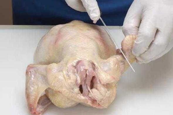 هذا ما يحدث لك إذا تناولت "عظام الدجاج".. فوائد لا تتوقعها