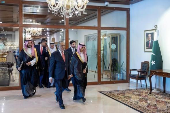 وزير الخارجية يبحث تطورات الشرق الأوسط مع نظيره الباكستاني