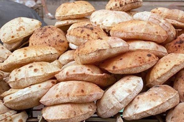 غرفة صناعة الحبوب تعلن أسعار الخبز السياحي والفينو بعد تراجع أسعار الدقيق