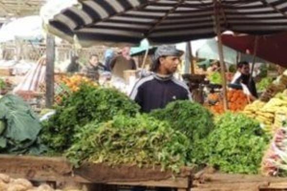 قائمة أسعار الخضراوات المتراجعة في الأسواق 50% للمستهلكين