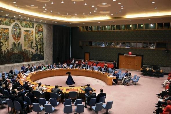 مصر تأسف لعجز مجلس الأمن عن إصدار قرار بتمكين دولة فلسطين من الحصول على العضوية الكاملة بالأمم المتحدة