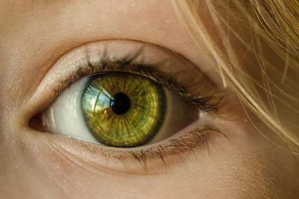 الامارات | ثورة في علاج السُكري: جهاز صغير جداً يُزرع داخل العين