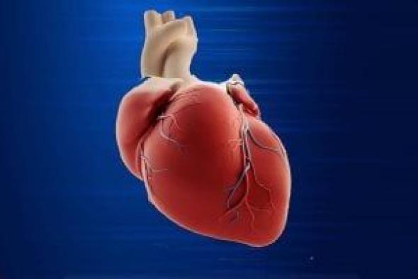دراسة توضح: خطر الإصابة بأمراض القلب يرتفع بشكل حاد لدى النساء بعد انقطاع الطمث