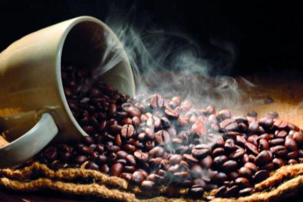 الامارات | القهوة أكثر من مجرد محصول.. جزء من الثقافة والتقاليد