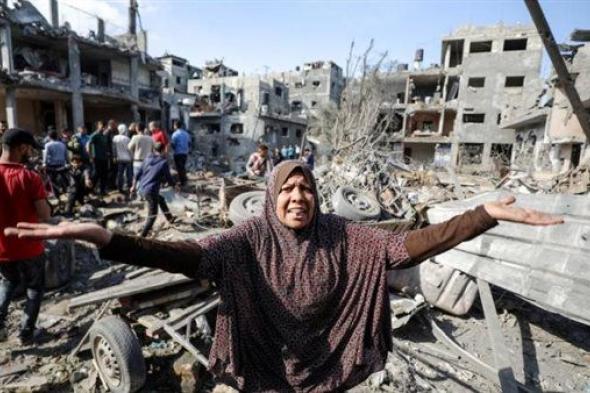 عميد إسرائيلي: تصرفنا في غزة كقطيع من الفيلة وتركنا خرابًا هائلًا