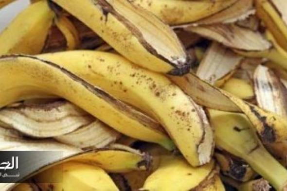 كنز في بيتك .. فتاة سعودية تكشف 11 استخدام لقشور الموز لن تتوقعها ...كيف تستفيد منها ؟