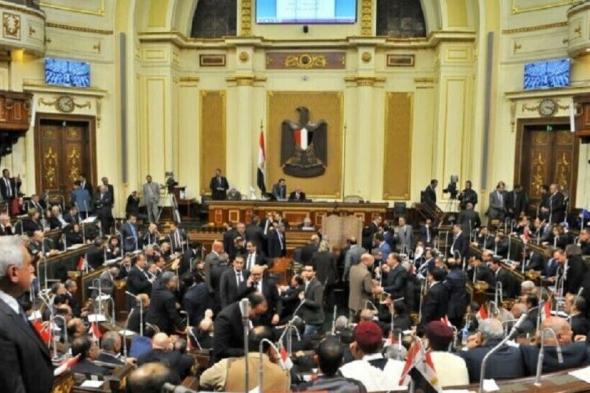 الامارات | فستان حنين يثير ضجة في مصر.. وتساؤلات للجزار في البرلمان