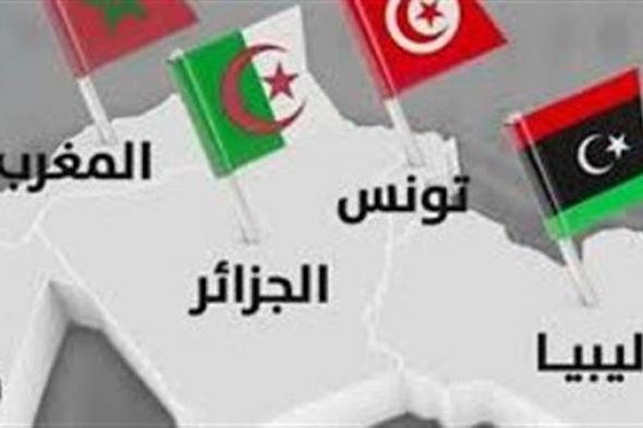 ما الخطوات المنتظرة بعد اللقاء الثلاثي ليبيا وتونس والجزائر