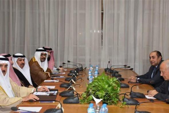 أبو الغيط يستقبل رئيس مجلس النواب البحريني ويؤكد: قمة المنامة تُعقد في توقيت دقيق