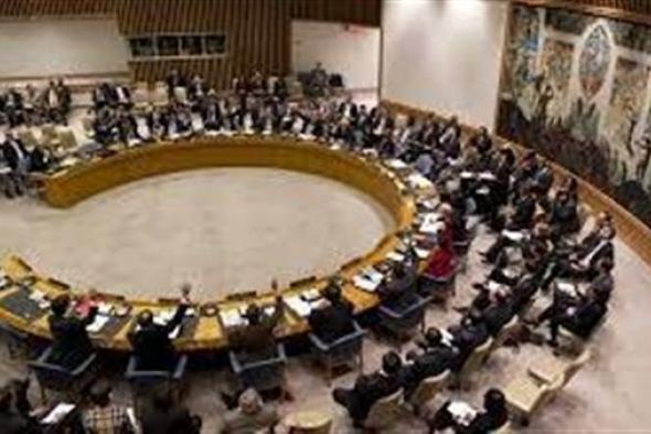 مجلس الأمن الروسي يعقد اجتماعه الـ ١٢ لمسئولي القضايا الأمنية.. اليوم