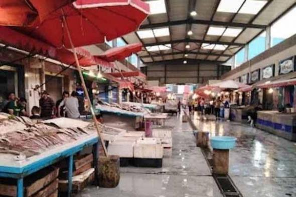 غرفة بورسعيد التجارية: المقاطعة خفضت أسعار الأسماك 70%