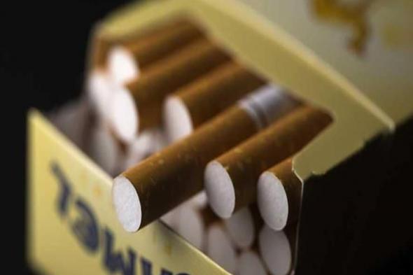 رفع أسعار سجائر «وينستون وكامل» بقيمة تصل إلى 5 جنيهات