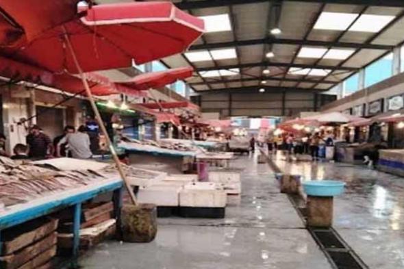 رئيس شعبة الأسماك يكشف أثر حملة المقاطعة في بورسعيد وأسباب ارتفاع الأسعار