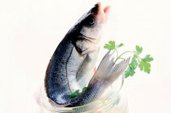 الامارات | فوائد تناول الأسماك الزيتية للصحة