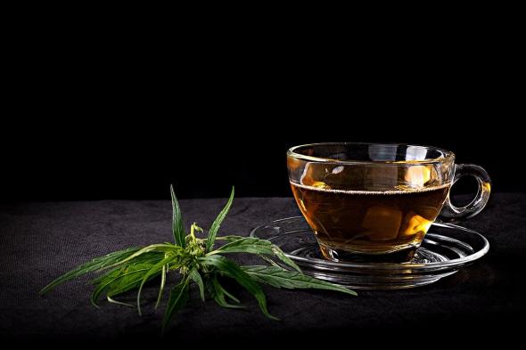 ماذا تعرف عن شاي القنب.. الفوائد وكيفية التحضير