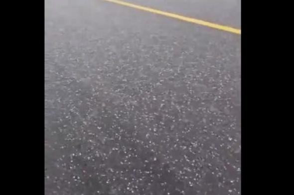 فيديو.. أمطار غزيرة وبرَد على مناطق مختلفة من الدولة