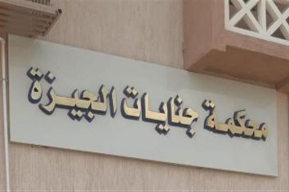 "مبالغ نقدية وكروت بنكية".. تفاصيل إحالة 10 متهمين بخطف ابن وزير الصحة الأسبق للجنايات