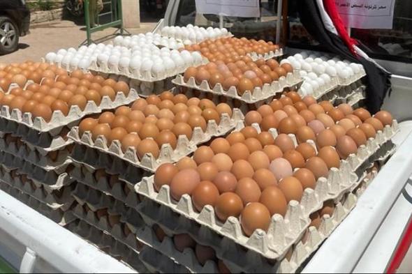 اتحاد منتجي الدواجن: انخفاض أسعار بيض المائدة في الأسواق بنسبة 40%