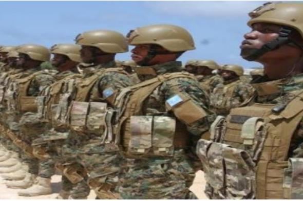 استسلام 100 إرهابي صومالي