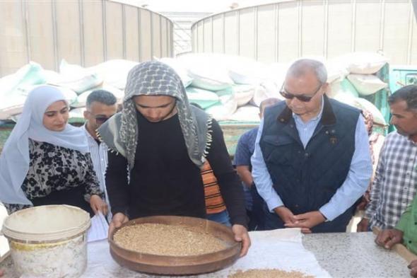 محافظ القليوبية يتابع توريد القمح بصومعةغلال عرب العليقات- صور