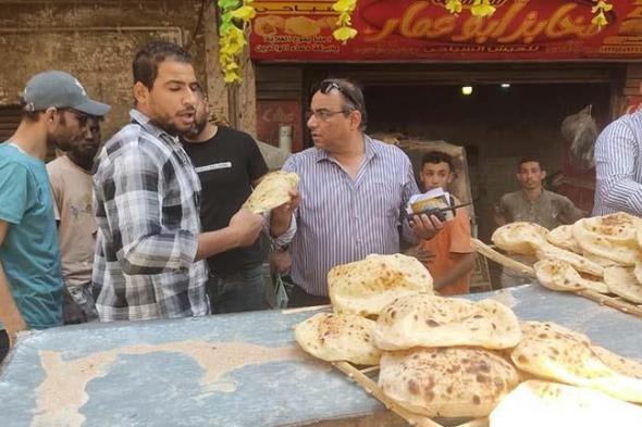 ضبط مخالفات.. "الجيزة": حملات على أفران الخبز البلدي والسياحي والفينو بهذه المناطق -(صور)