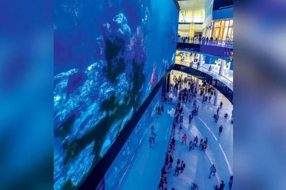 الامارات | كنوز «الأعماق» ترسم لوحة زرقاء في دبي