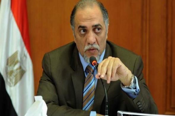 مصر دولة حقوقية من الطراز الأول.. "تضامن النواب" تفنِّد ادعاءات "حقوق الطفل" بالأمم المتحدة