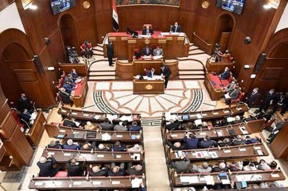 برلمانية حماة وطن بالشيوخ: قطاع الزراعة يمثل قضية أمن قومي