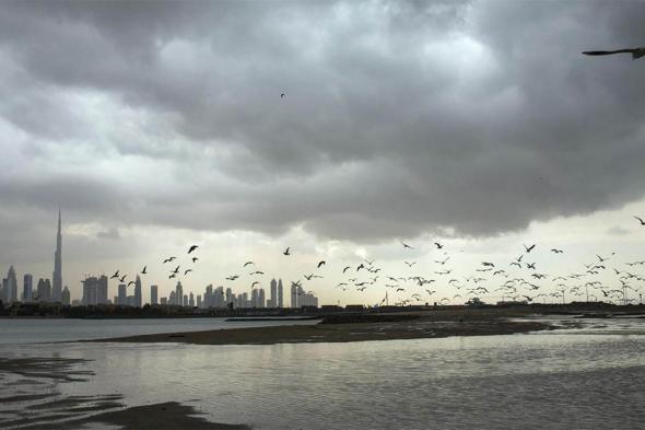 الامارات | تنبيه جديد من "الأرصاد": أمطار ورياح نشطة السرعة حتى "الثامنة" مساءً