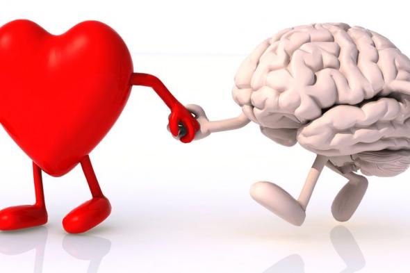 الامارات | هل تعرف"دماغ الحب"؟..مرض يحول حياة العشاق إلى كابوس