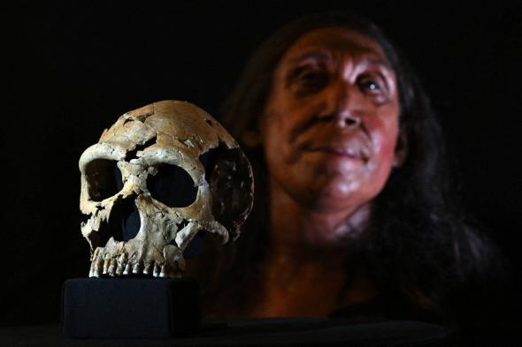 الامارات | دُفنت في دولة عربية قبل 75 ألف سنة.. علماء يكشفون شكل امرأة النياندرتال