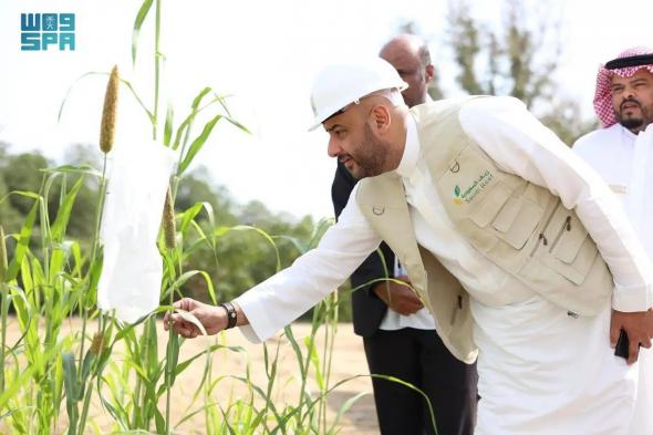السعودية | “ريف السعودية”: الميكنة الزراعية أسهمت في خفض تكاليف حصاد المحاصيل البعلية بنسبة 90%