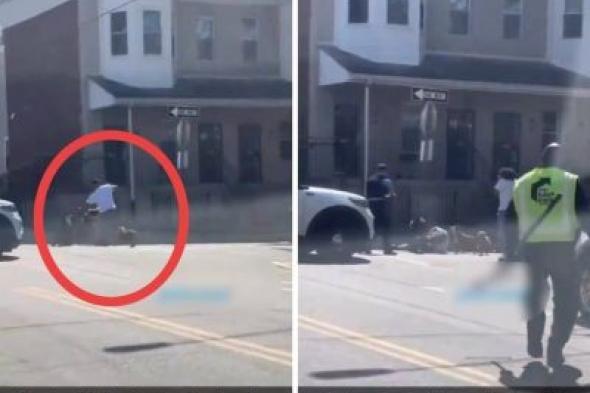 تراند اليوم : شاهد : كيف تعامل شرطي أمريكي مع 4 كلاب حاولت تفترس رجل وسط شارع عام