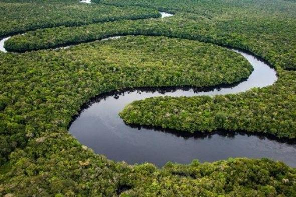 البرازيل واليابان تتفقان على حماية غابات الأمازون