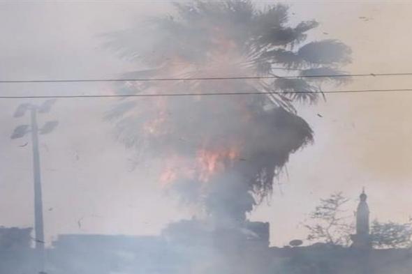 إخماد حريق نشب في أشجار مدرسة ثانوية بمدينة المنيا (صور)