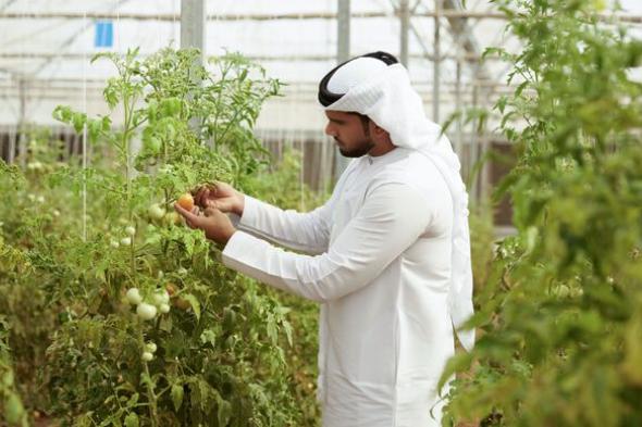 الامارات | لتعزيز منظومة الأمن الغذائي.. قرار جديد يستهدف تحسين دخل "صغار المزارعين" في أبوظبي