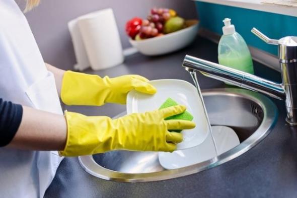 الامارات | كيف تحافظ على إسفنجة الأطباق من تلوث البكتيريا؟