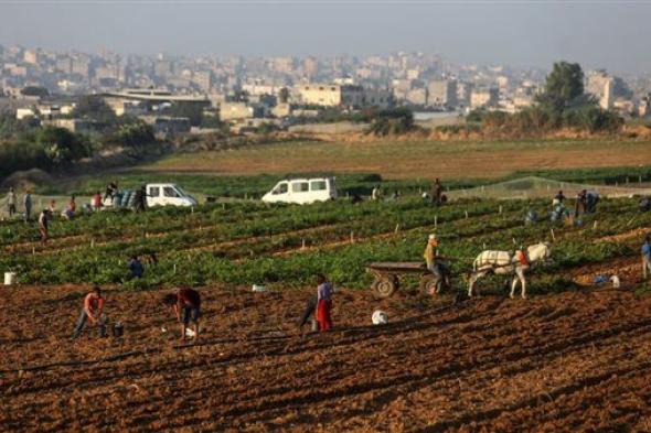 جيش الاحتلال يمنع الزراعة قرب حدود غزة
