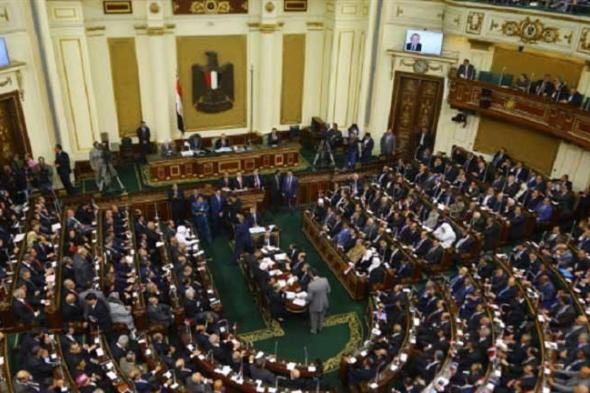 برلماني عن الحساب الختامي للموازنة: "مصر للطيران" خسائرها 29 مليار جنيه ولديها 33 مستشارًا!