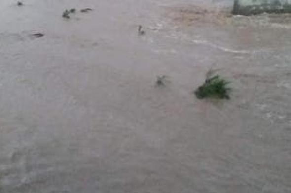 الخليج اليوم .. اليمن.. وفاة وإصابة 40 شخصاً بسبب الأمطار والسيول في المهرة