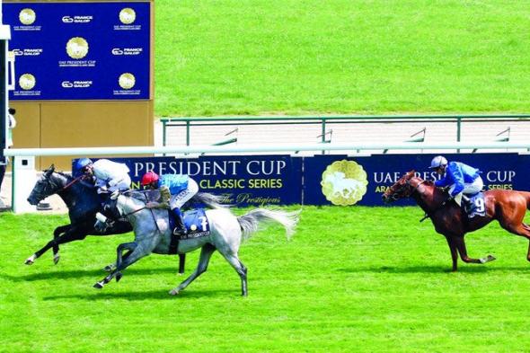 الامارات | إطلاق أجندة سباقات النسخة الـ 31 لكأس الخيول العربية