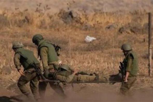 دبابير قطاع غزة تلسع 11 جنديا في الجيش الإسرائيلي