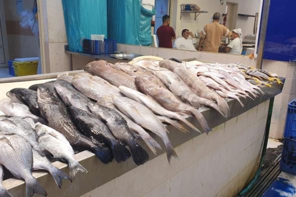 "بيئة جازان" تنفذ 3228 جولة رقابية لمتابعة الشروط الصحية بأسواق الأسماك