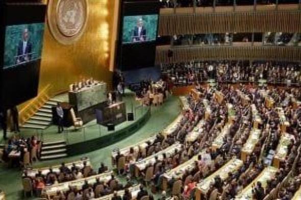طارق فهمى: تصويت الأمم المتحدة لصالح فلسطين يثبت رغبة العالم فى إنهاء الصراع