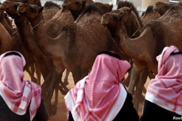 فيروس «ميرس».. السعودية ترفع حالة التأهب بسبب مرض مرتبط بكورونا