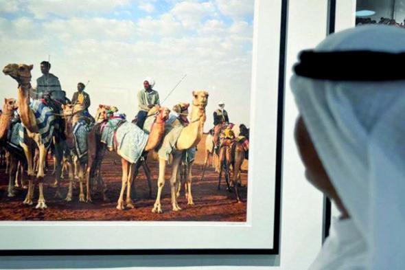 الامارات | عدسة فائزة في «فنون العالم دبي» تلاحق الهجن الأصيلة