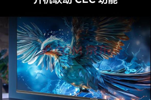 تكنولوجيا: ‏TCL تطلق تلفاز Thunderbird Sparrow 5 SE الذكي بحجم 43 بوصة في الصين