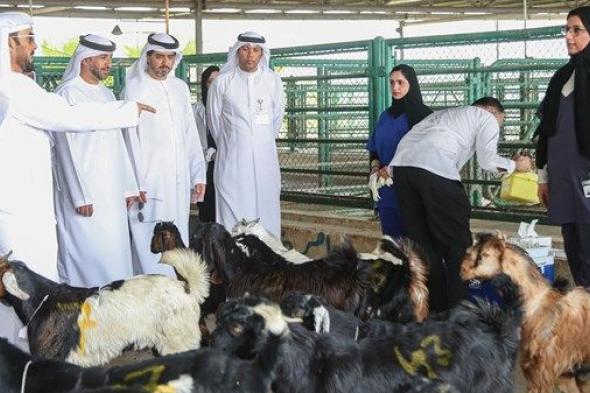 "التغير المناخي والبيئة" تضع خطة متكاملة استعداداً لموسم الأضاحي